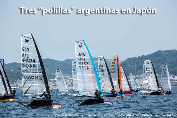 LINK A LA WEB DEL CAMPEONATO