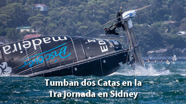 LINK A LA WEB OFICIAL