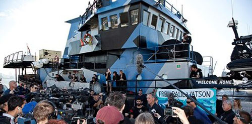 LINK A LA WEB OFICIAL