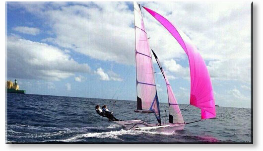 LINK A LA WEB OFICIAL