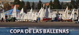 COPA DE LAS BALLENAS