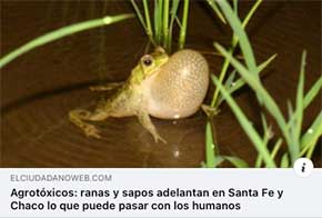 LINK A LA NOTA