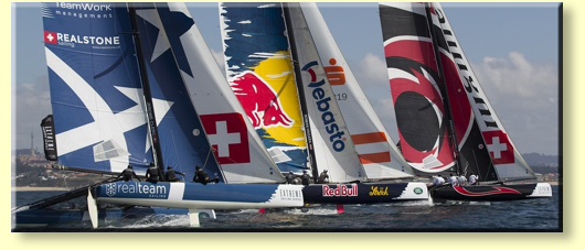 LINK A LA WEB DEL CAMPEONATO