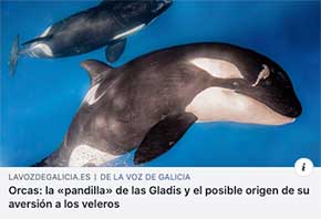 NOTA