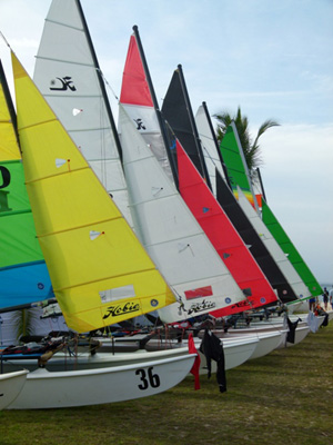 LINK A LA WEB OFICIAL