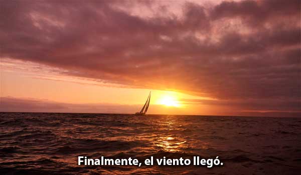 LINK A LOS POSICIONADORES