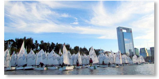 LINK A LA WEB OFICIAL