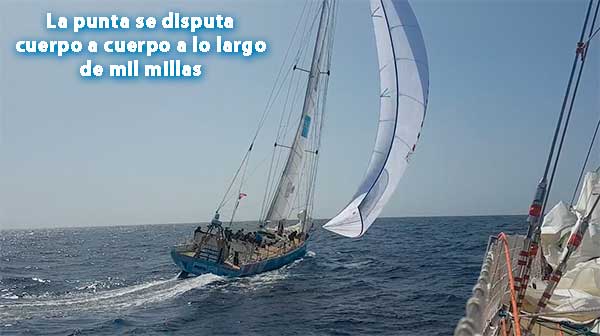 SEGUI LA FLOTA CON UN CLICK