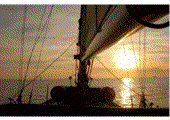 LINK AL BLOG