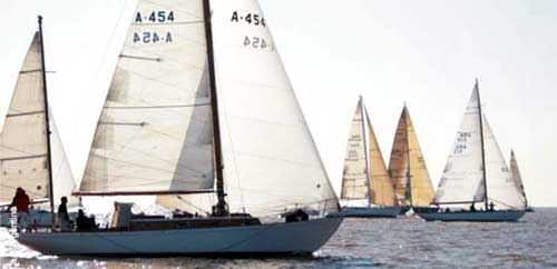 LINK A LA WEB DEL YCA