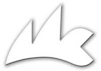 LINK A LA CLASE INTERNACIONAL MICRO CLASS