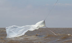 LINK A LAS FOTOS DE JORGE COUSILLAS EN FACEBOOK