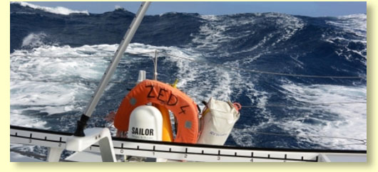 LINK A LA WEB OFICIAL