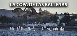 LA COPA DE LAS BALLENAS