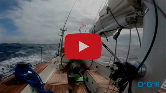 LINK AL VIDEO