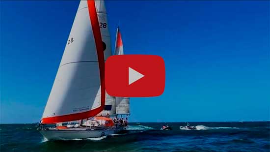 LINK AL VIDEO